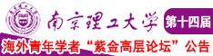 一起操啊啊啊南京理工大学第十四届海外青年学者紫金论坛诚邀海内外英才！